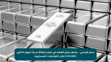 سعر قياسي.. يشهد جرام الفضة في مصر ارتفاعًا جديدًا اليوم الاثنين 6-10-2025 خلال التعاملات المسائية